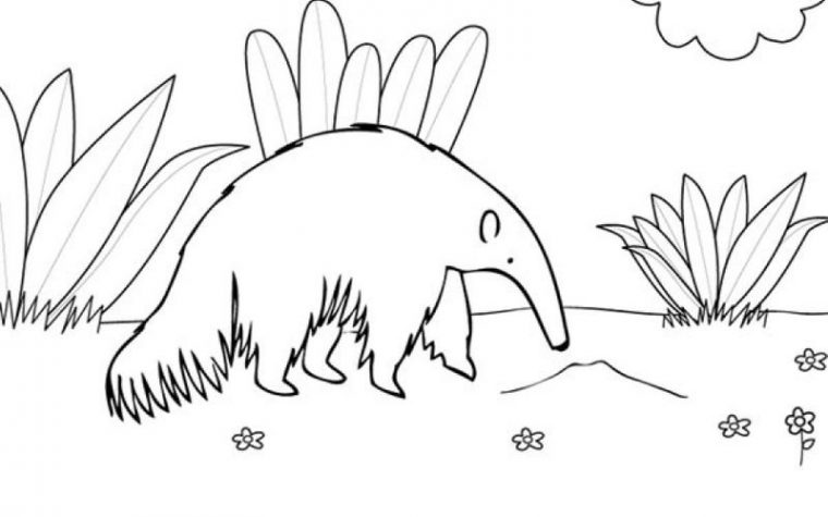 Coloriages Animaux Sauvages : Le Maki avec Coloriage Animaux 6 Mois