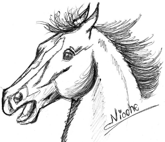 Dessin De 2008 – Dessins Et Peintures De Chevaux serapportantà Coloriage Animaux Ëe