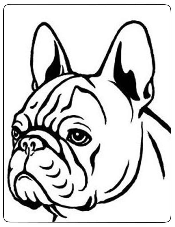 Dessin De Chien Bouledogue – Les Dessins Et Coloriage pour Dessin A Colorier Facile Chien