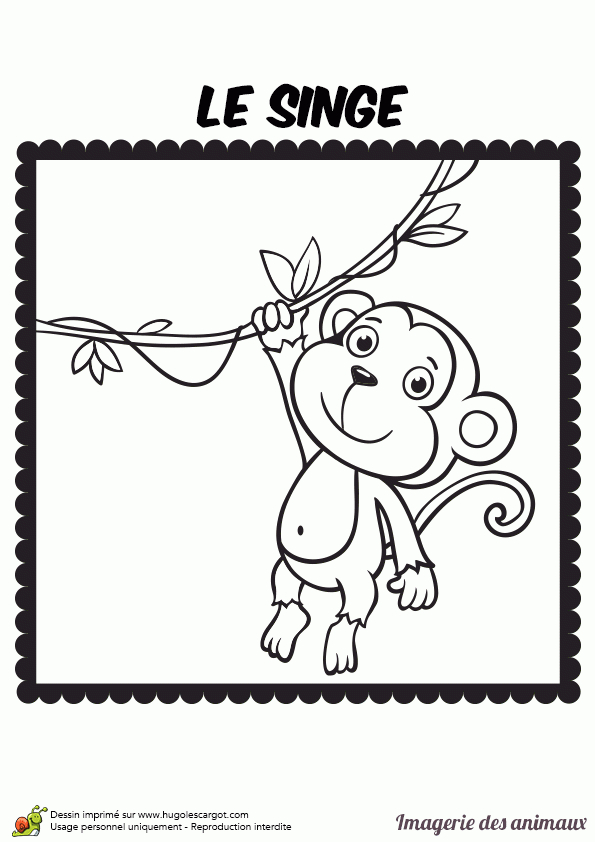 Dessin Facile De Singe : Coloriage Singe Dans Un Arbre Dessin Gratuit À dedans Dessin A Colorier Facile Singe