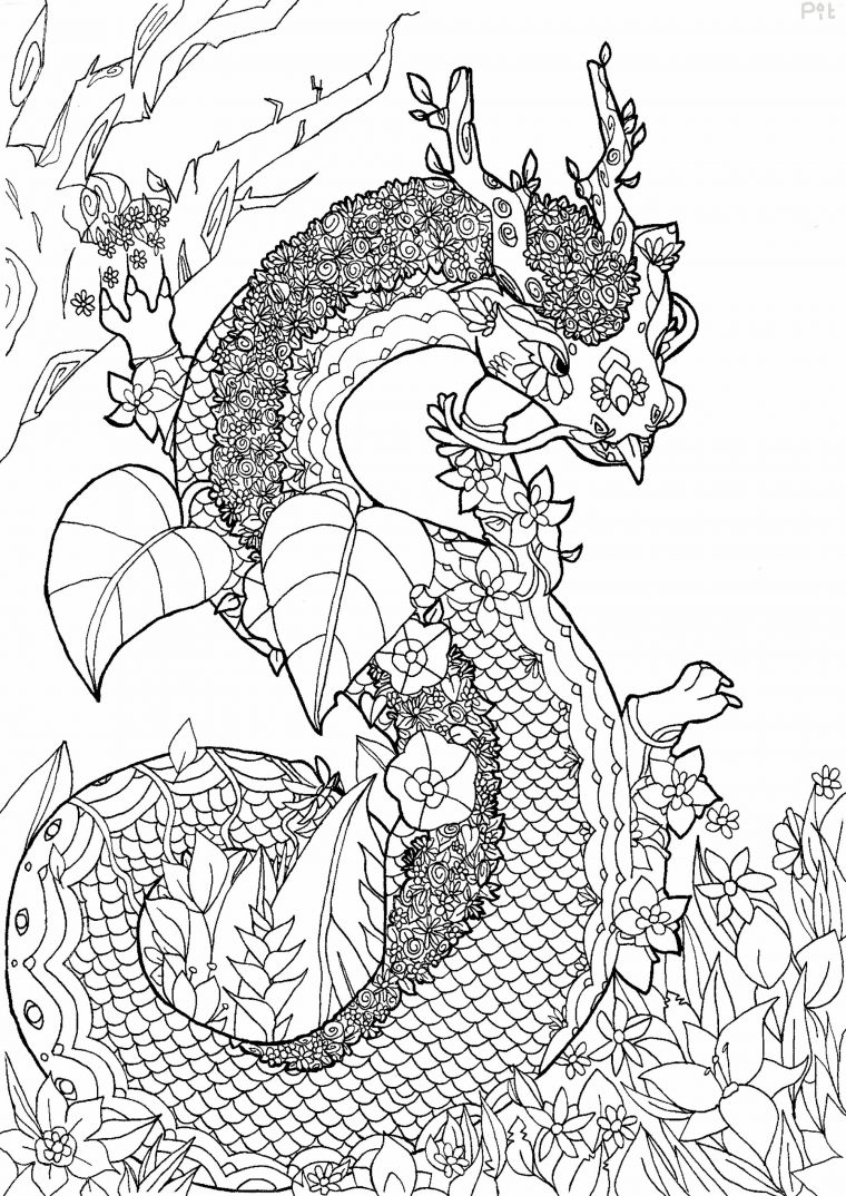 Dragon Fleuri – Fleurs Et Végétation – Coloriages Difficiles Pour Adultes destiné Coloriage Magique Dragon