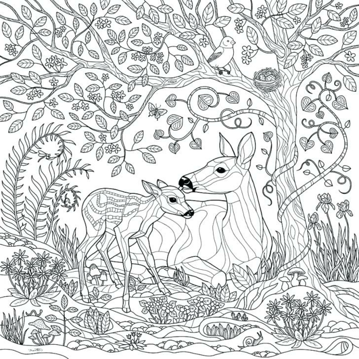 最高 50+ Coloriage Animaux Pour Adulte destiné Coloriage Animaux Foret Imprimer