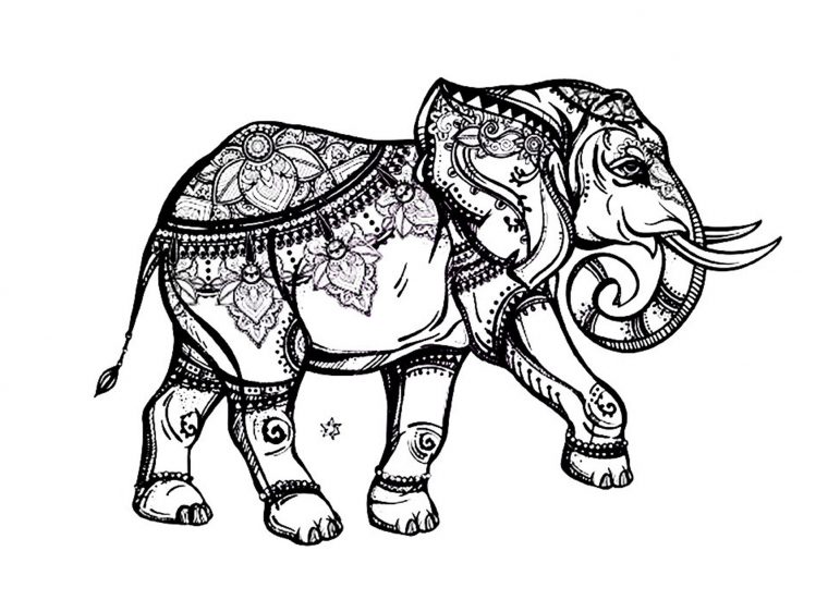 Elephant Elegant – Eléphants – Coloriages Difficiles Pour Adultes à Coloriage 0 Imprimer Animaux