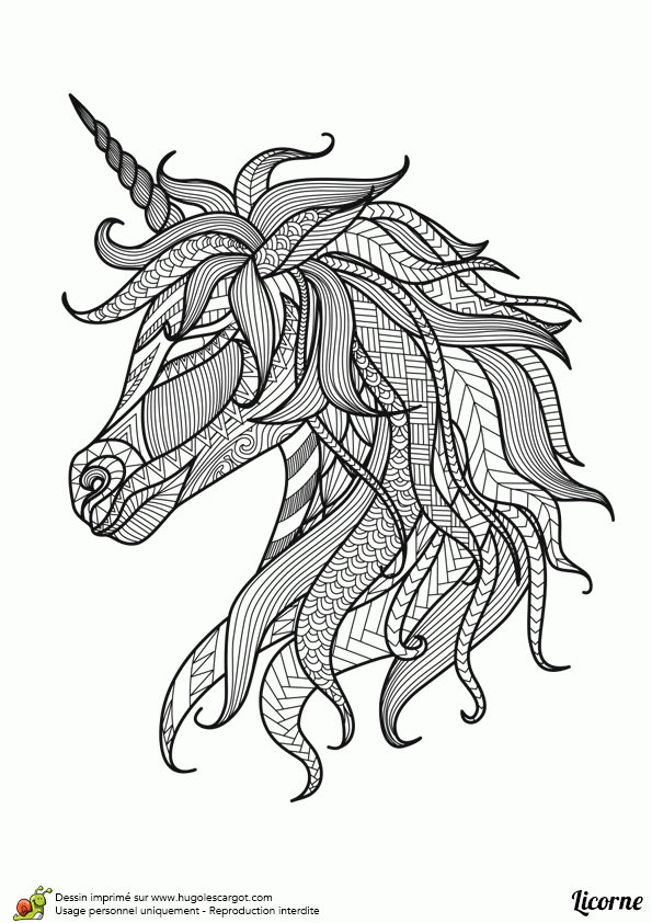 Épinglé Sur Coloriages De Fées Et Créatures Surnaturelles à Dessin A Colorier Facile Unicorn