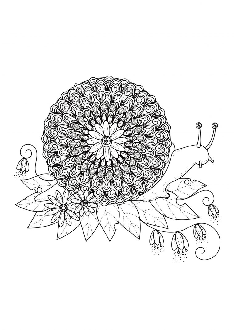 Escargot Mandala – Mandalas – Coloriages Difficiles Pour Adultes encequiconcerne Coloriage Krokmou Mandala