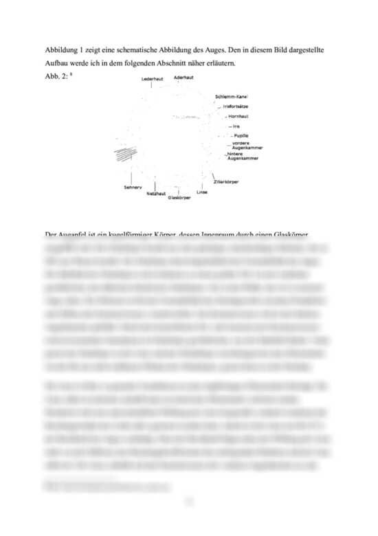 Gfs Biologie: Das Menschliche Auge: Anatomie, Funktionsweise & Das pour Das Auge Klasse 7