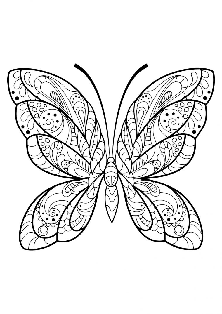 Image De Papillons À Imprimer Et Colorier – Coloriage De Papillons dedans Coloriage Maternelle Pdf 4 Saisons