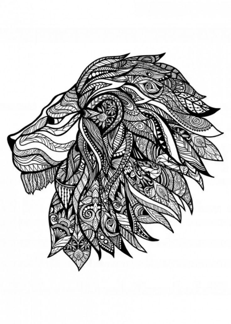 Lion Illustration Animals Poster Print | Metal Posters In 2020 | Lion serapportantà Coloriage Mandala Lion