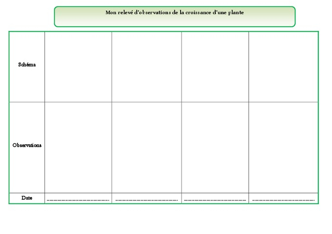 Mon Relevé D'Observations De La Croissance D'Une Plante – Ce1 – Les serapportantà Image Sequentielle Graine