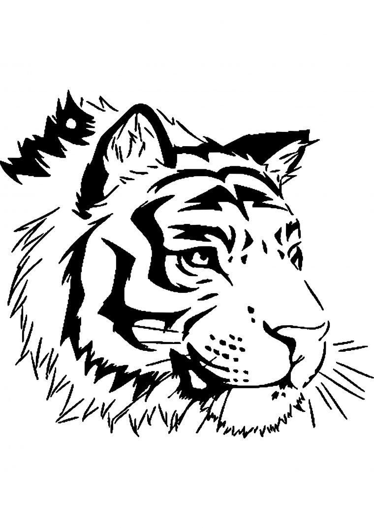 Nouveau Coloriage De La Savane A Imprimer | Des Milliers De Coloriage avec Dessin A Colorier Tigre Gratuit A Imprimer