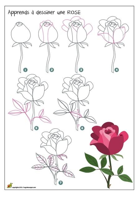 On Te Propose D'Apprendre A Dessiner Une Rose. On T'Explique Comment destiné Image De Rose Pour Dessinner