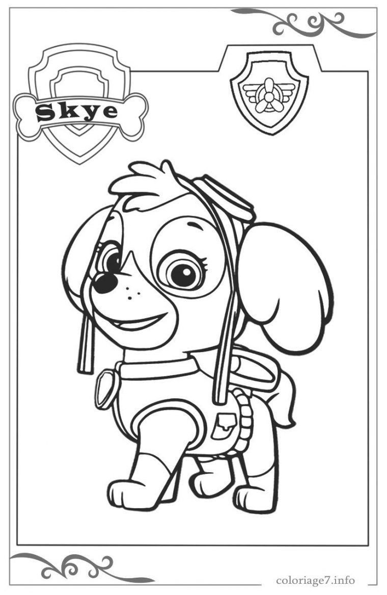 Paw Patrol : La Pat' Patrouille Télécharger Et Imprimer Des Coloriages concernant Dessin A Colorier Facile Patte Patrouille