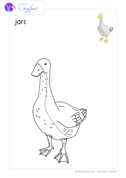 Pdf Dessin À Colorier Animaux De La Ferme À Imprimer à Coloriage Animaux De La Ferme Pdf