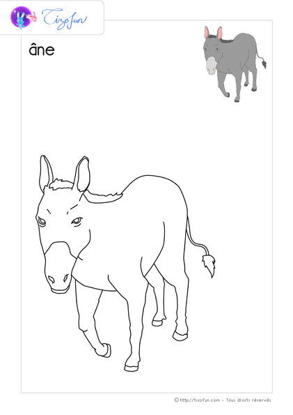 Pdf Dessin À Colorier Animaux De La Ferme À Imprimer | Illustration tout Coloriage Animaux De La Ferme Pdf