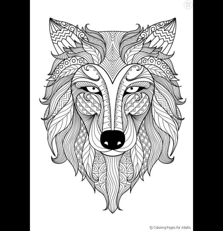 Photos - Une Gueule De Loup | Coloriage Loup, Coloriage Mandala Animaux intérieur Loup Coloriage Mandala