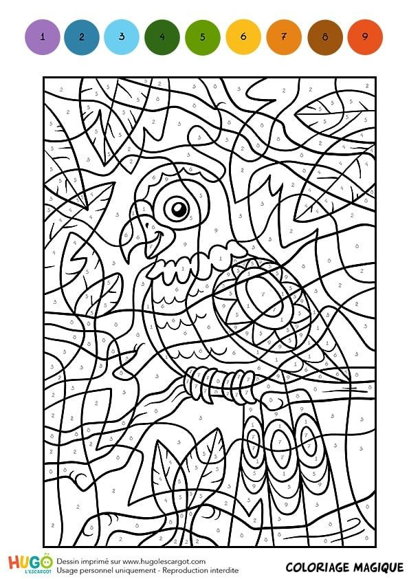 Pin On Coloriage destiné Pinterest Coloriage Magique