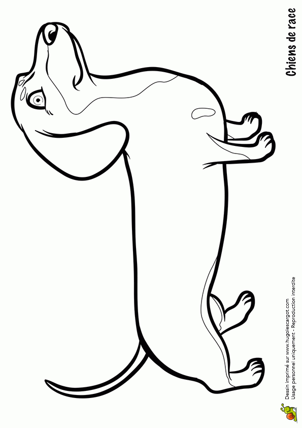 Pin On Coloriages Animaux De Compagnie concernant Dessin A Colorier Facile Chien