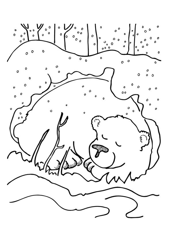 Print Coloring Image | Sprookje : Goudlokje En De Drie Beren / Beren In pour Coloriage Animaux École