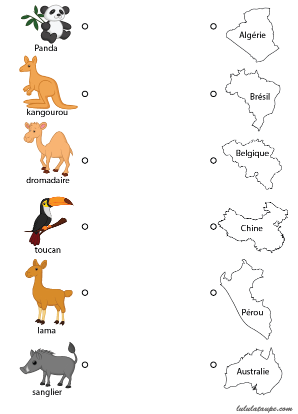 Relier Chaque Animal À Son Pays D'Origine – Lulu La Taupe, Jeux dedans Coloriage À Imprimer Animaux 4 Ans