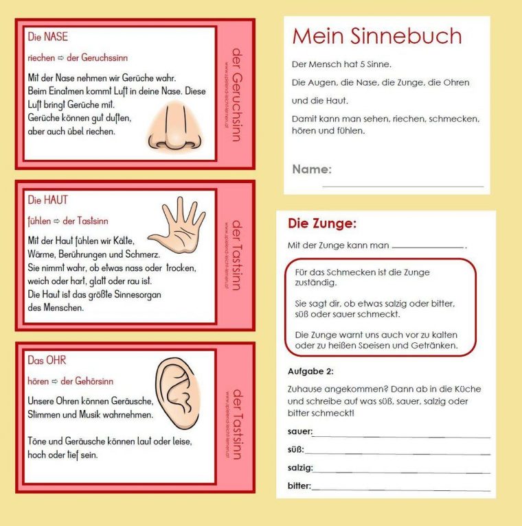 Sinnesmaterial | Lernen Tipps Schule, Leichter Lernen, 5 Sinne Vorschule tout Das Auge Klasse 7