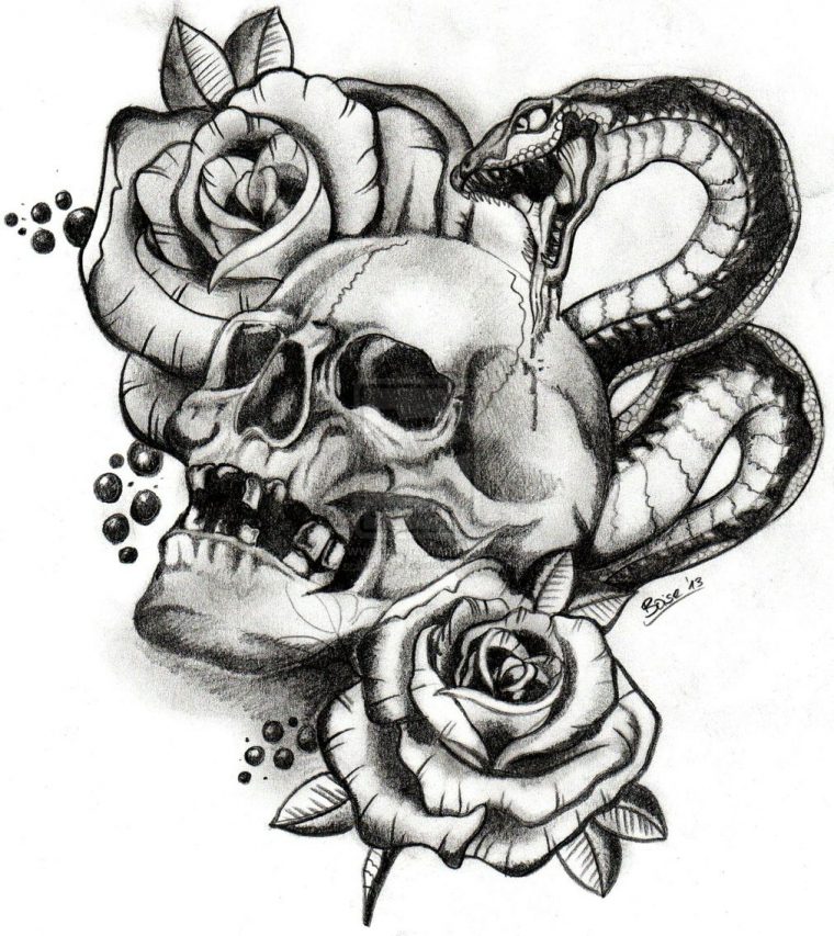 Snake And Skull Design. | Skulls Drawing, Skull Tattoo, Snake Tattoo avec Dessin Tete De Mort Rose