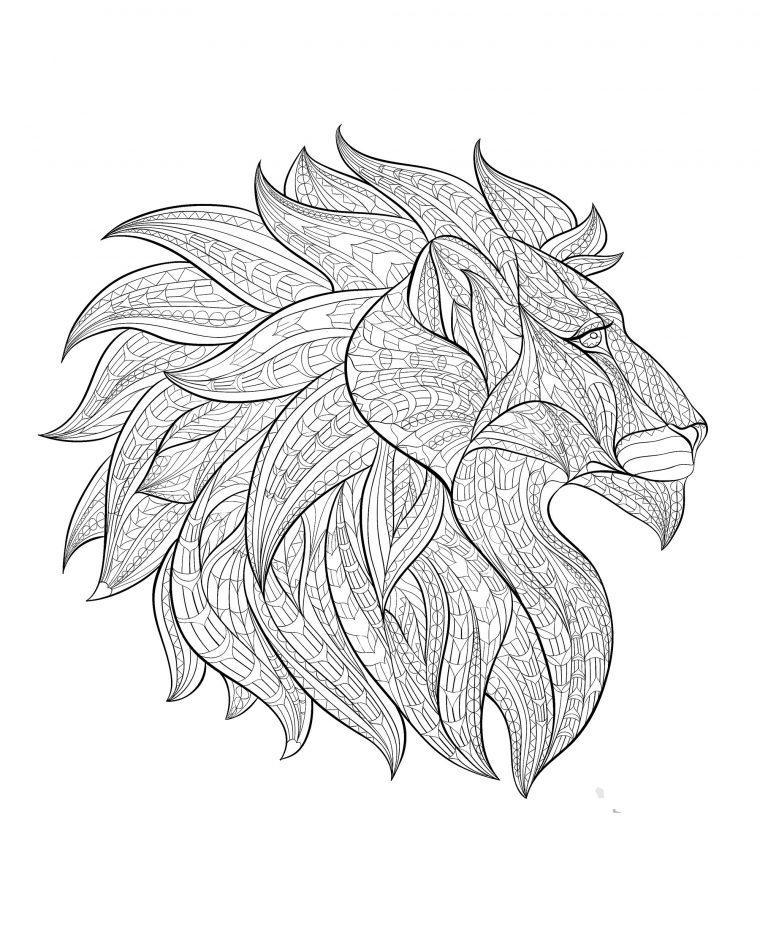 Tete Lion Profil – Lions – Coloriages Difficiles Pour Adultes serapportantà Coloriage Mandala Lion À Imprimer