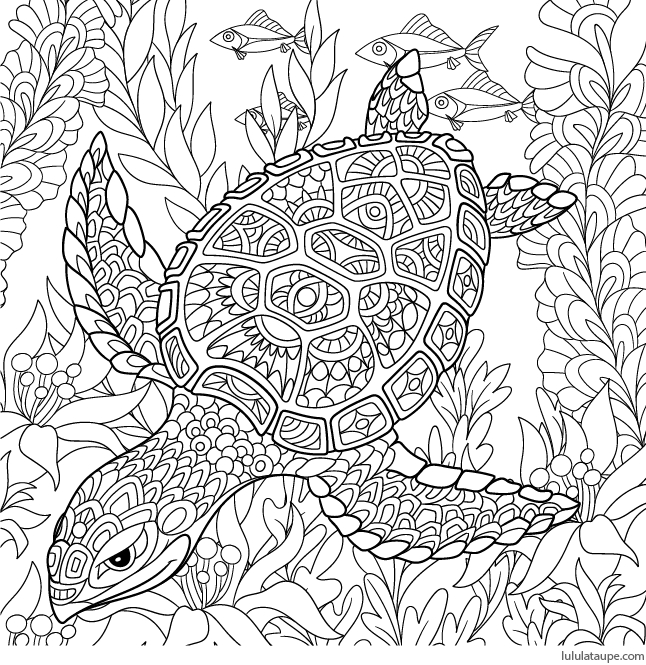 Tortue (646×665) | Coloriage, Dessin Coloriage serapportantà Coloriage En Ligne Pour Adulte