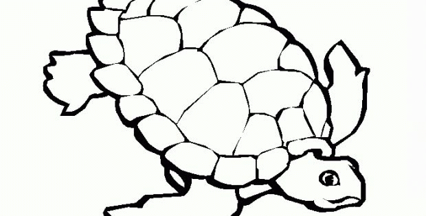 Tortue Dessin Facile Nouveau Photos Dessins Gratuits À Colorier pour Dessin A Colorier Facile Us