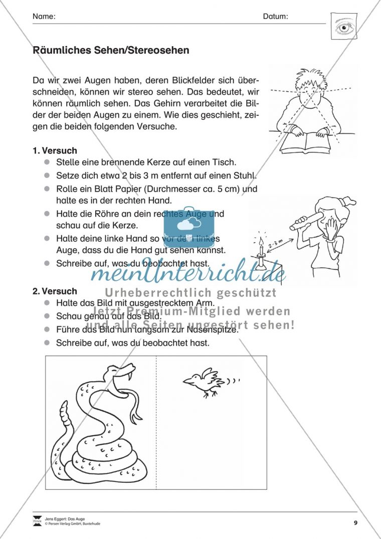 Wie Funktioniert Das Sehen + Gefahren Für Das Auge – Meinunterricht pour Das Auge Klasse 7