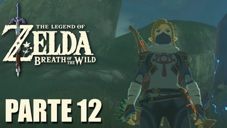 Zelda Breath Of The Wild #12 – A Roupa Da Sheik – à Zelda Breath Of The Wild Da Colorare