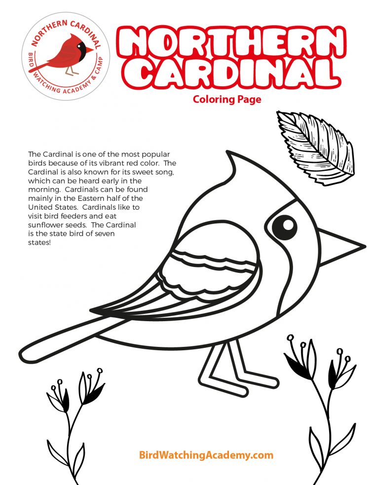 cardinal coloring page