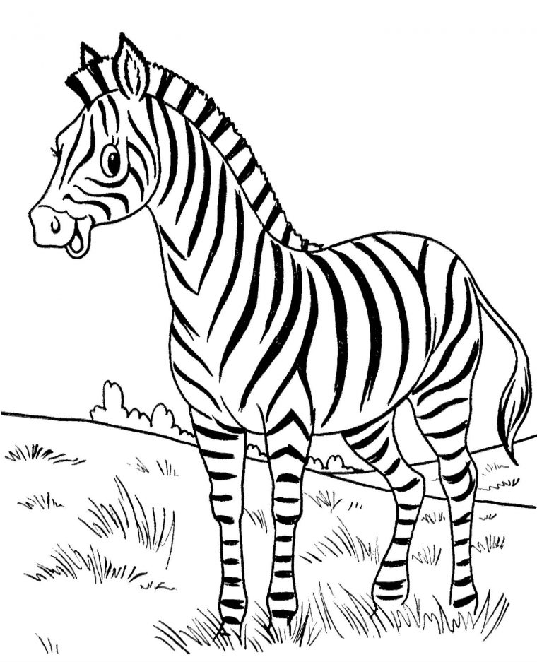 zebra coloring pages