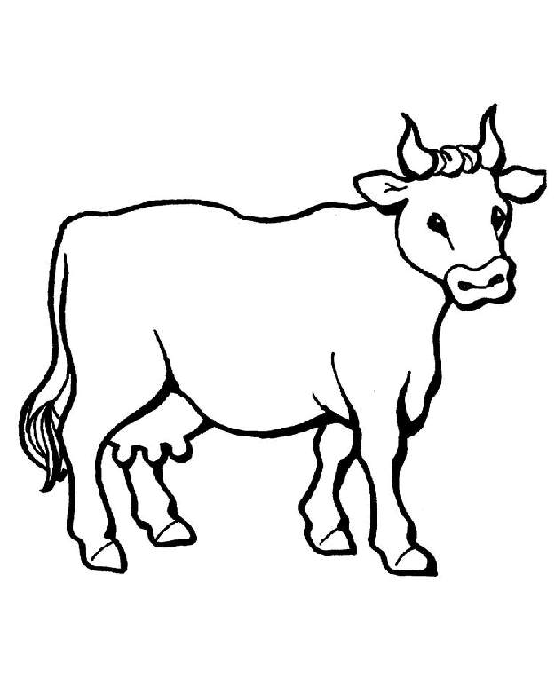 cute cow coloring pages