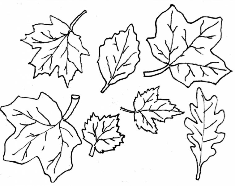 fall leaf coloring pages