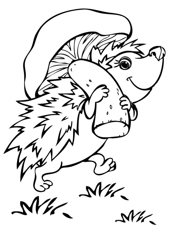 hedgehog coloring pages