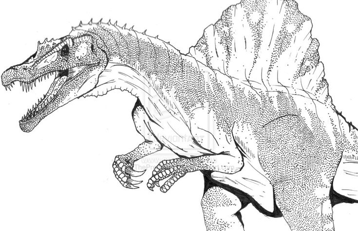 spinosaurus coloring page