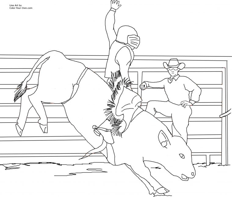 bull coloring pages