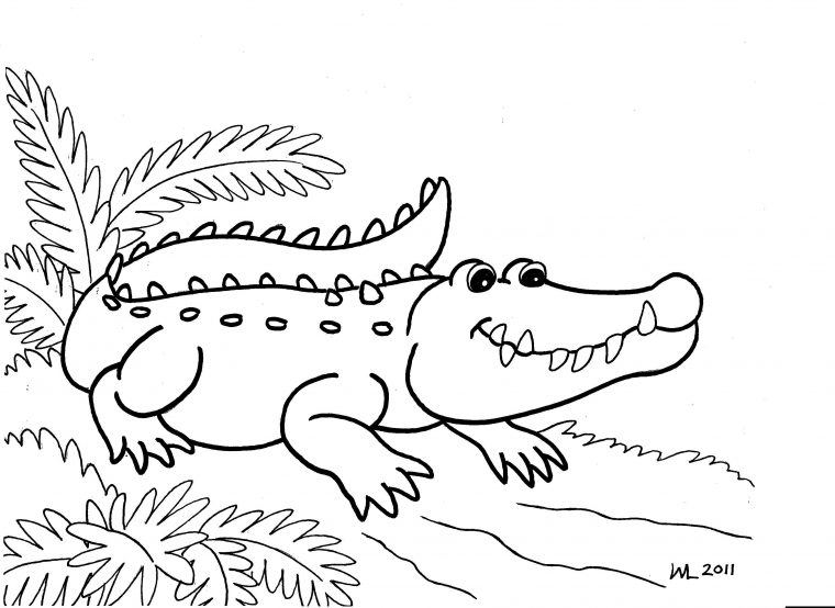 coloring pages alligator