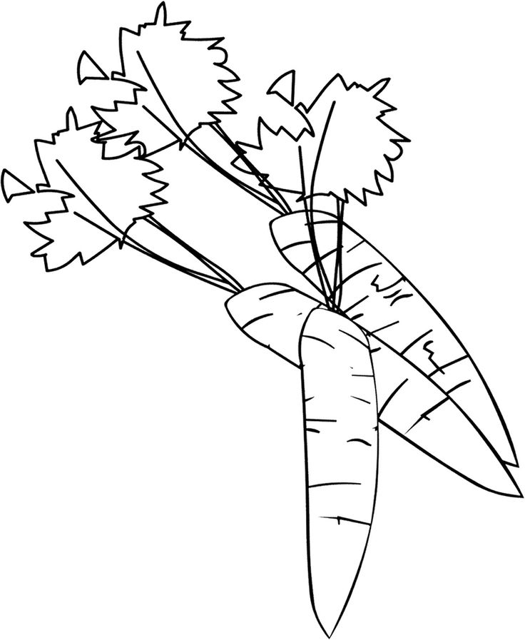 coloring pages of carrots