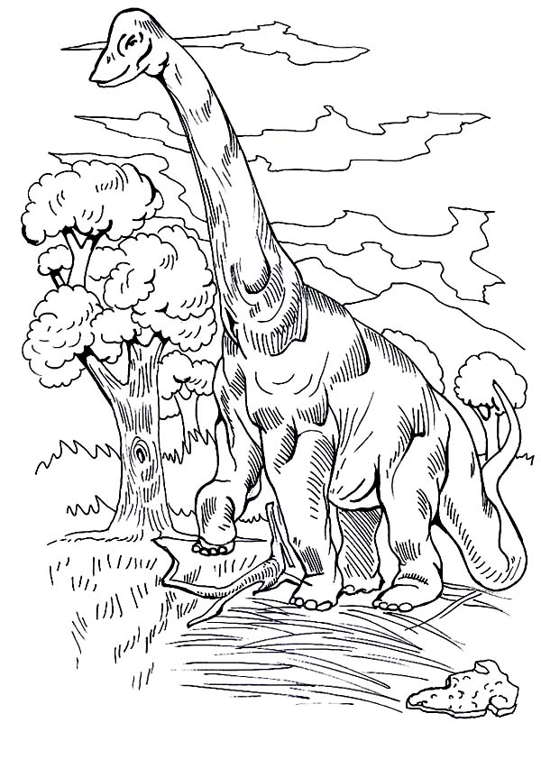 brachiosaurus coloring page