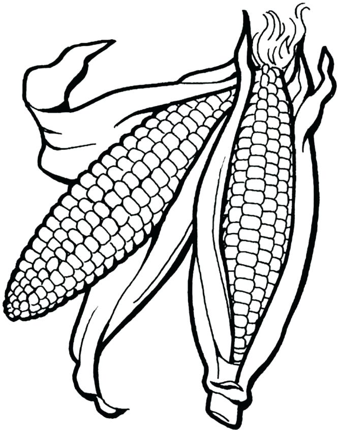 corn coloring page