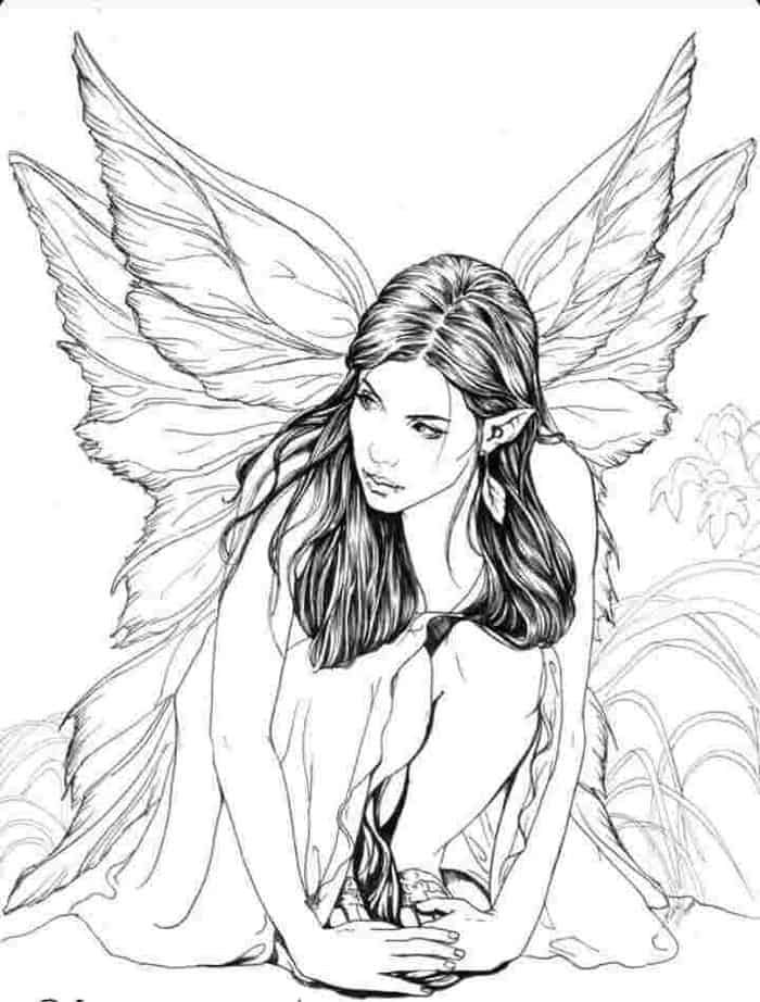 fairy tale coloring pages for adults