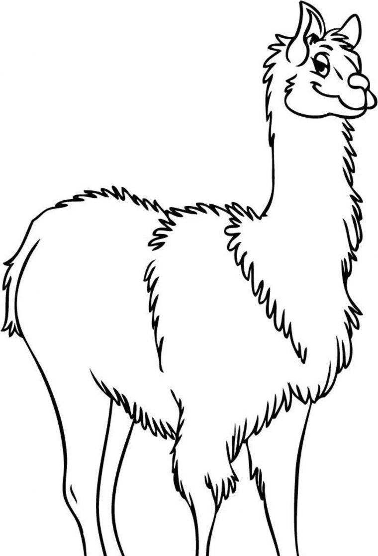 llama coloring pages printable