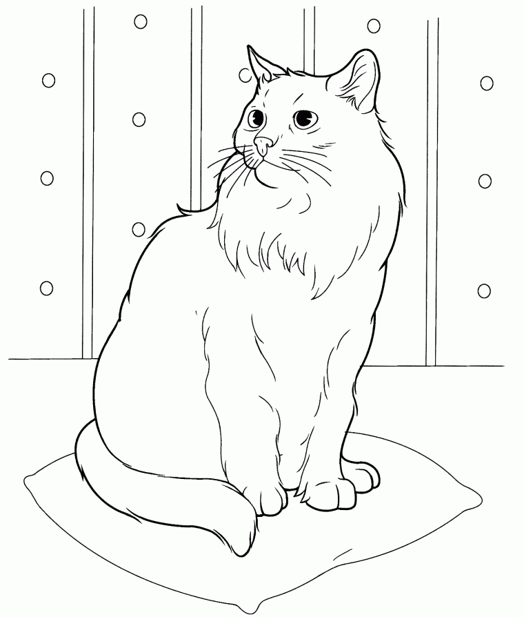 realistic cat coloring pages for adults