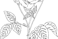 roses and flowers coloring pages