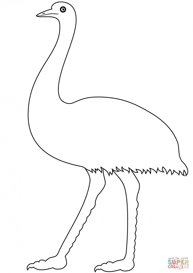 emu coloring page