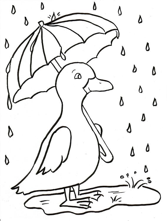 realistic duck coloring pages