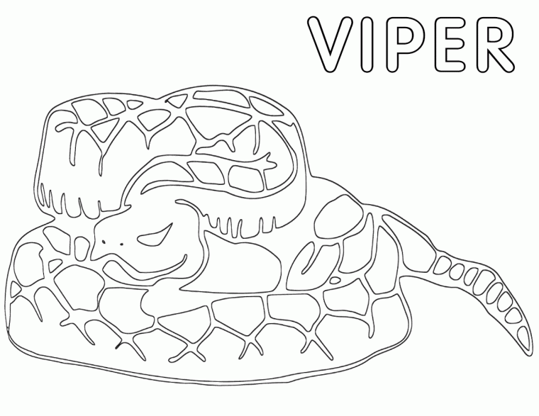 viper coloring page