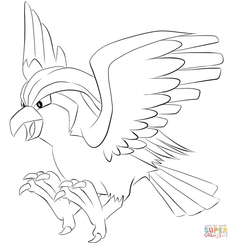 pidgeotto coloring pages