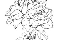 rusty rose coloring page